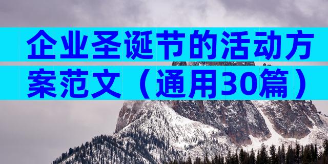 企业圣诞节的活动方案范文（通用30篇）