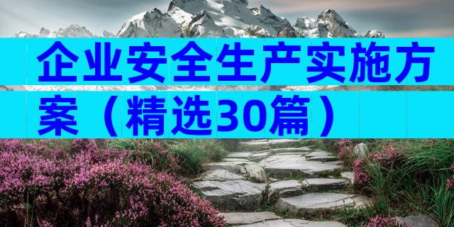 企业安全生产实施方案（精选30篇）
