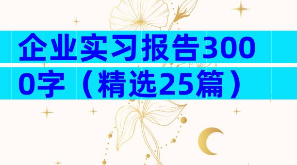 企业实习报告3000字（精选25篇）