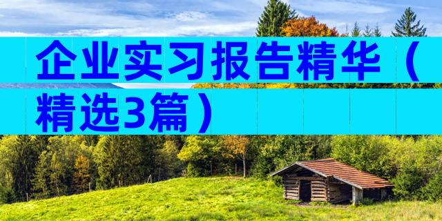 企业实习报告精华（精选3篇）