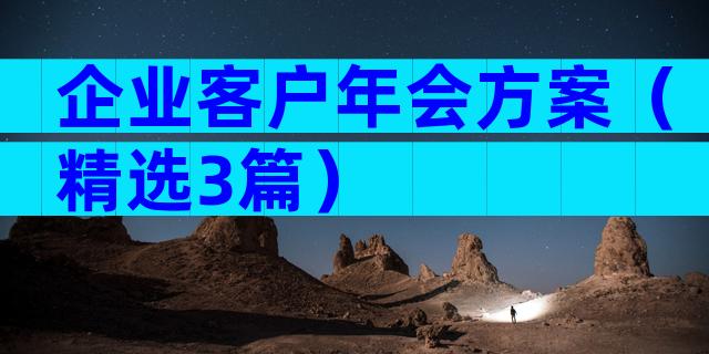 企业客户年会方案（精选3篇）