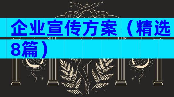 企业宣传方案（精选8篇）