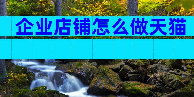 企业店铺怎么做天猫