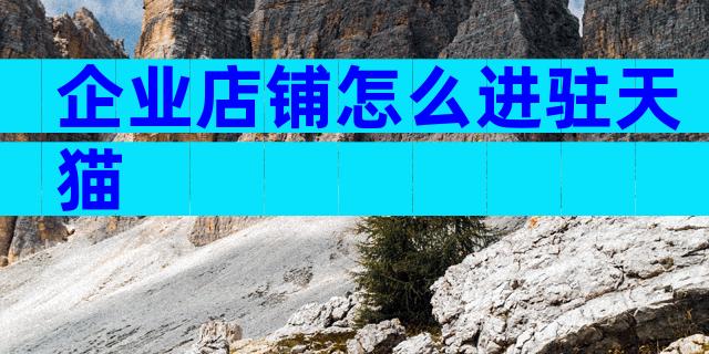 企业店铺怎么进驻天猫