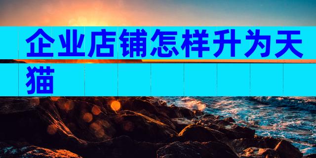 企业店铺怎样升为天猫