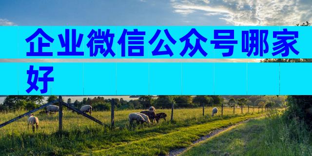 企业微信公众号哪家好