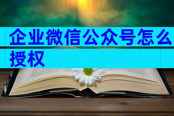 企业微信公众号怎么授权