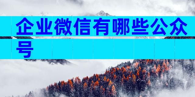 企业微信有哪些公众号