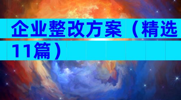 企业整改方案（精选11篇）