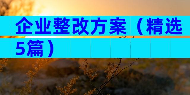 企业整改方案（精选5篇）