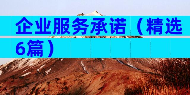 企业服务承诺（精选6篇）