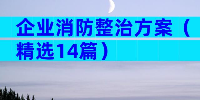 企业消防整治方案（精选14篇）