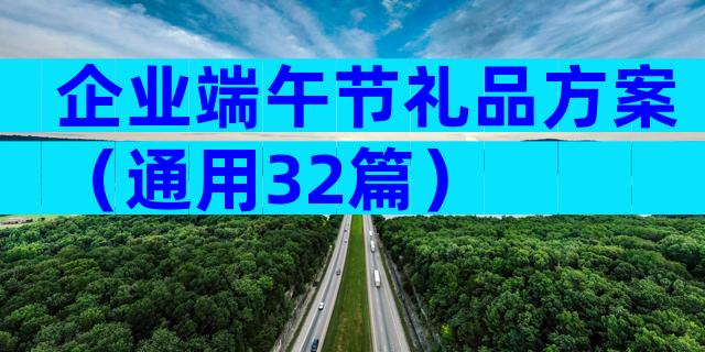企业端午节礼品方案（通用32篇）