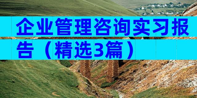 企业管理咨询实习报告（精选3篇）