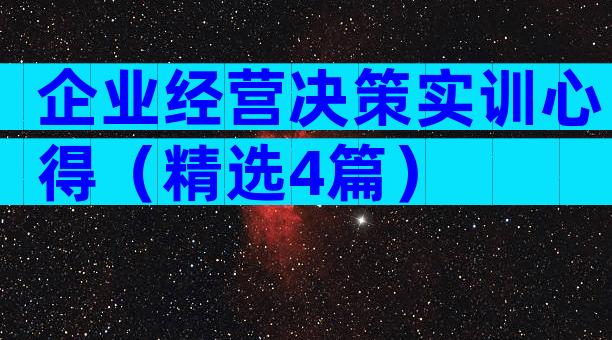 企业经营决策实训心得（精选4篇）
