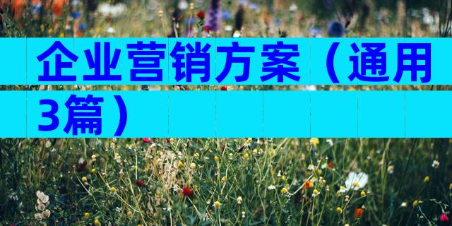 企业营销方案（通用3篇）