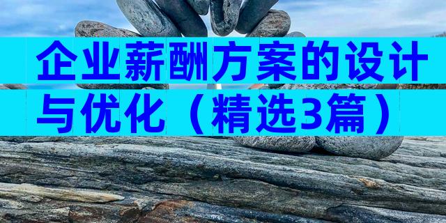 企业薪酬方案的设计与优化（精选3篇）