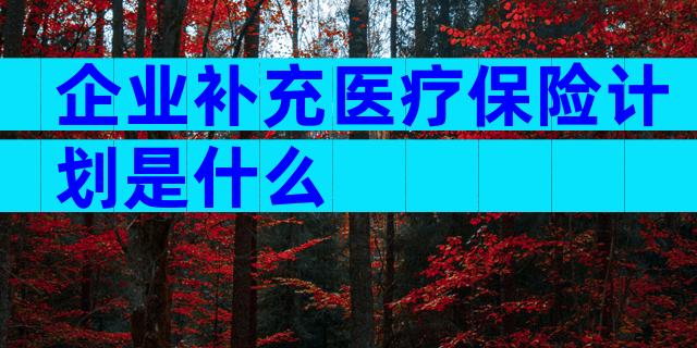 企业补充医疗保险计划是什么