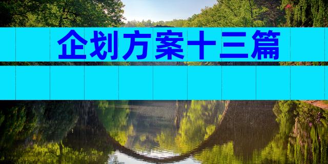 企划方案十三篇