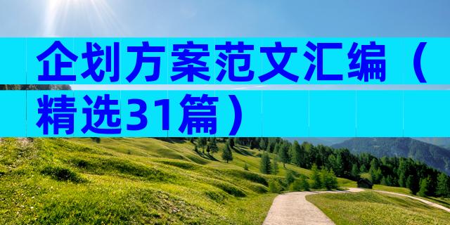 企划方案范文汇编（精选31篇）