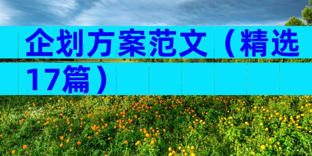 企划方案范文（精选17篇）