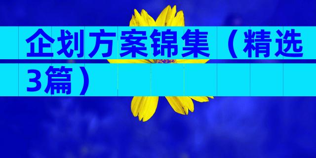 企划方案锦集（精选3篇）