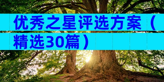 优秀之星评选方案（精选30篇）