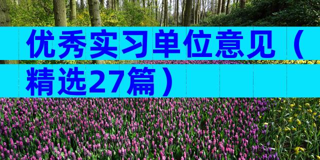 优秀实习单位意见（精选27篇）