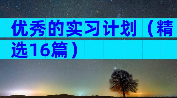 优秀的实习计划（精选16篇）