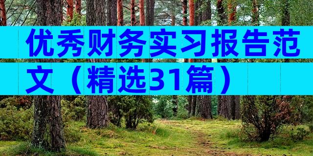 优秀财务实习报告范文（精选31篇）