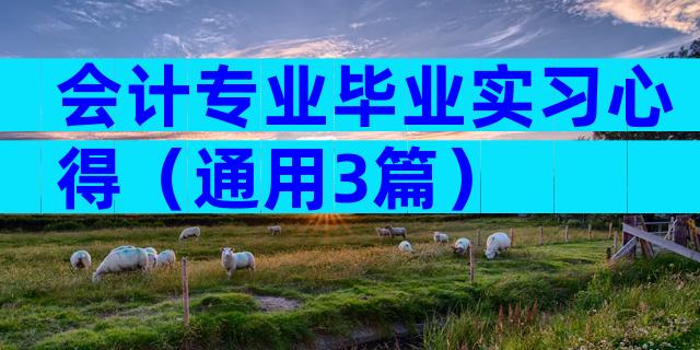 会计专业毕业实习心得（通用3篇）