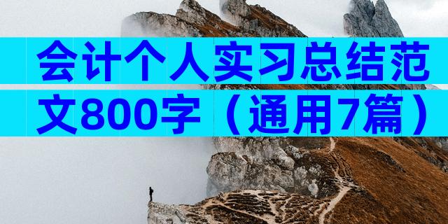 会计个人实习总结范文800字（通用7篇）
