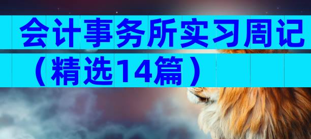 会计事务所实习周记（精选14篇）