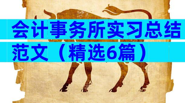 会计事务所实习总结范文（精选6篇）