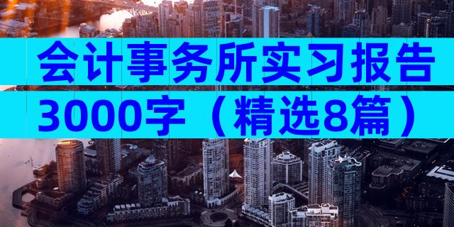 会计事务所实习报告3000字（精选8篇）