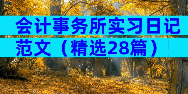 会计事务所实习日记范文（精选28篇）