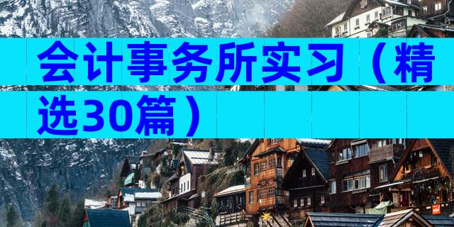 会计事务所实习（精选30篇）