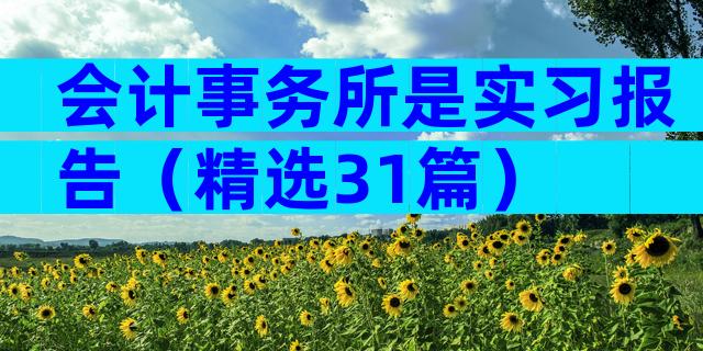 会计事务所是实习报告（精选31篇）