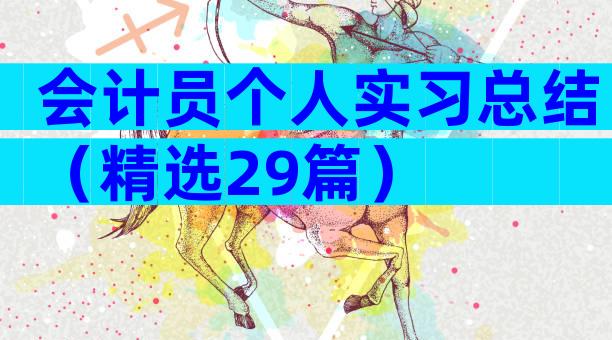 会计员个人实习总结（精选29篇）