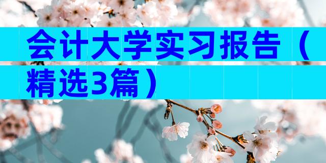 会计大学实习报告（精选3篇）