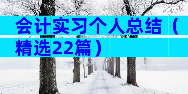 会计实习个人总结（精选22篇）