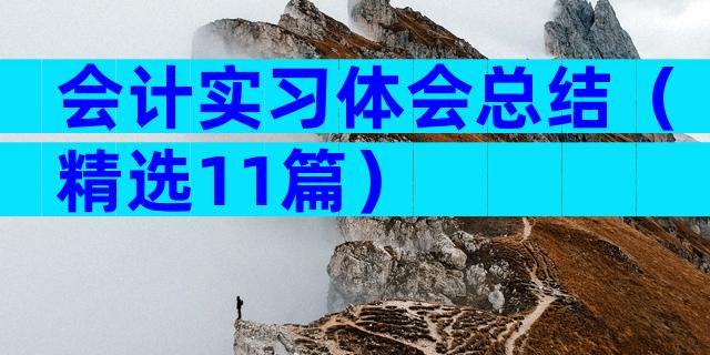 会计实习体会总结（精选11篇）