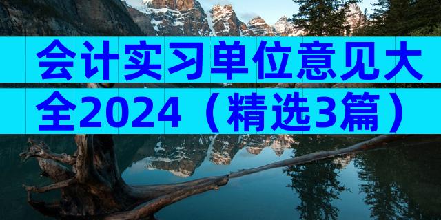 会计实习单位意见大全2024（精选3篇）