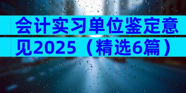 会计实习单位鉴定意见2025（精选6篇）