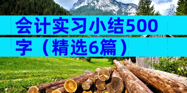 会计实习小结500字（精选6篇）