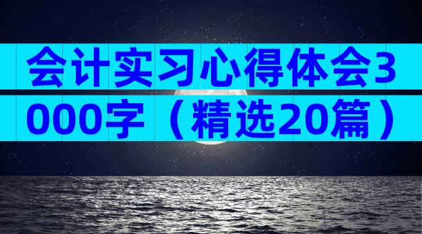 会计实习心得体会3000字（精选20篇）