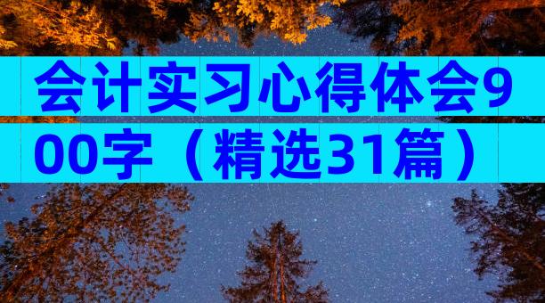 会计实习心得体会900字（精选31篇）