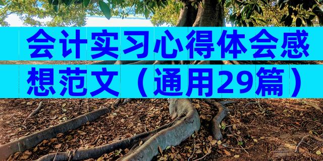 会计实习心得体会感想范文（通用29篇）