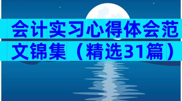 会计实习心得体会范文锦集（精选31篇）