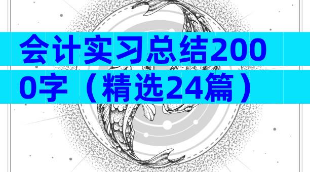 会计实习总结2000字（精选24篇）